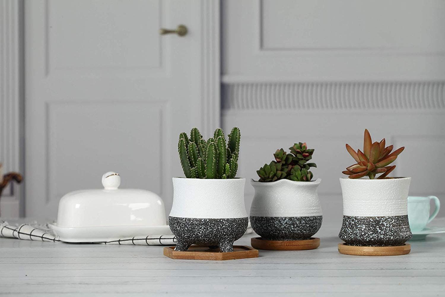 売れ筋がひ 新品 未使用 T4u 8cm 多肉植物鉢 おしゃれ 植木鉢 陶器 サボテン鉢 ミニ鉢 雪 フラワー ガーデン Lavacanegra Com Mx Lavacanegra Com Mx