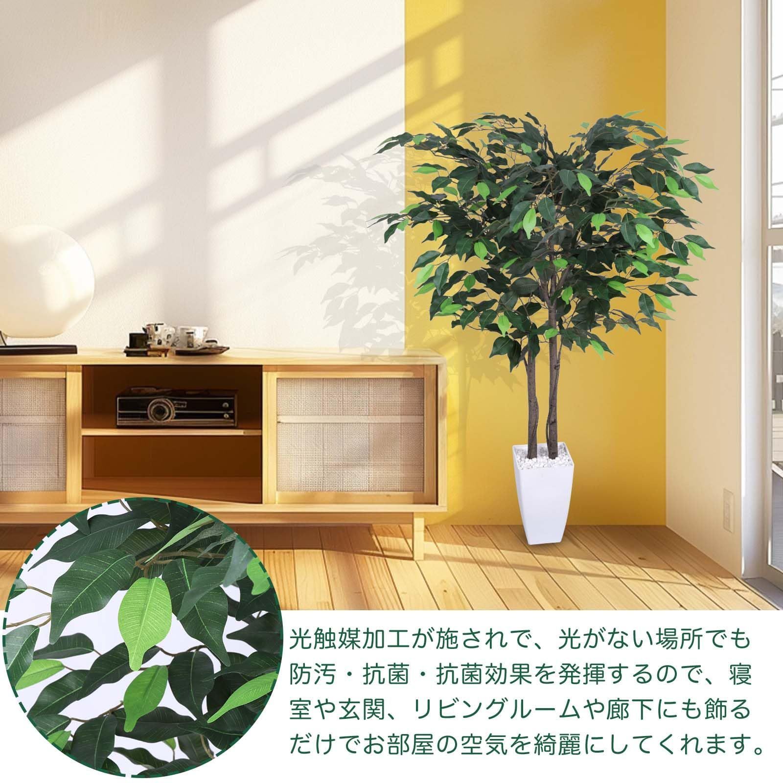 インテリアグリーン