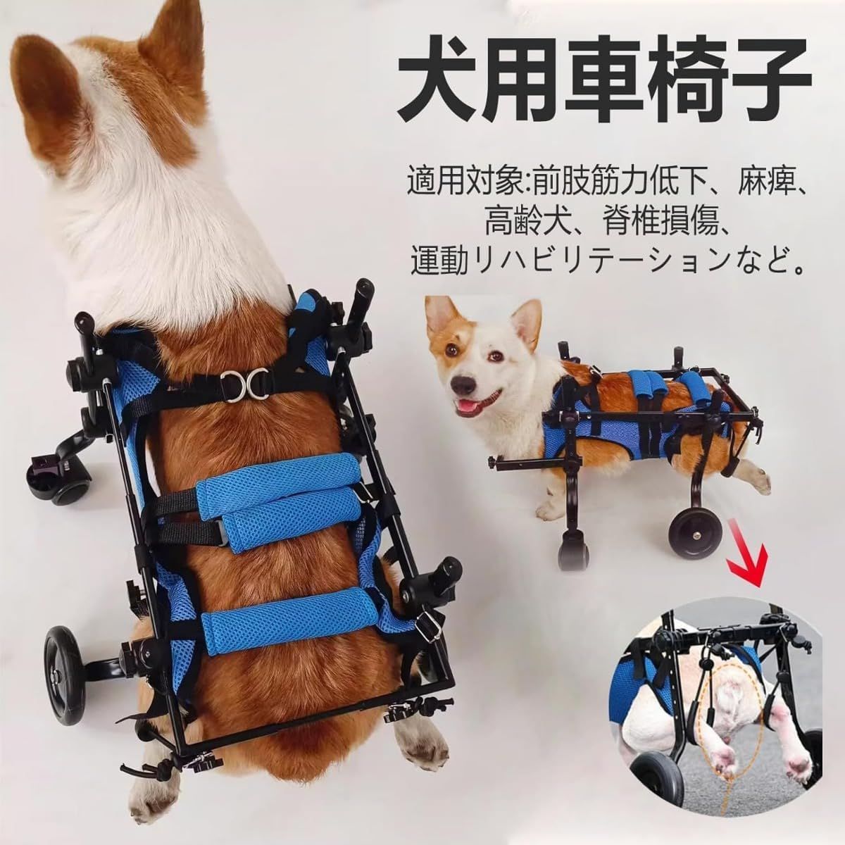 犬用車椅子 4輪 犬用歩行器 犬用 車いす ペット/猫/犬カート サイズ調整可能 愛犬の 車いす 犬補助歩行器 老犬介護 リハビリ 障害ペット 前足用  麻痺した後足のための犬補助歩行器 M - メルカリ