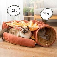 猫ハウス
