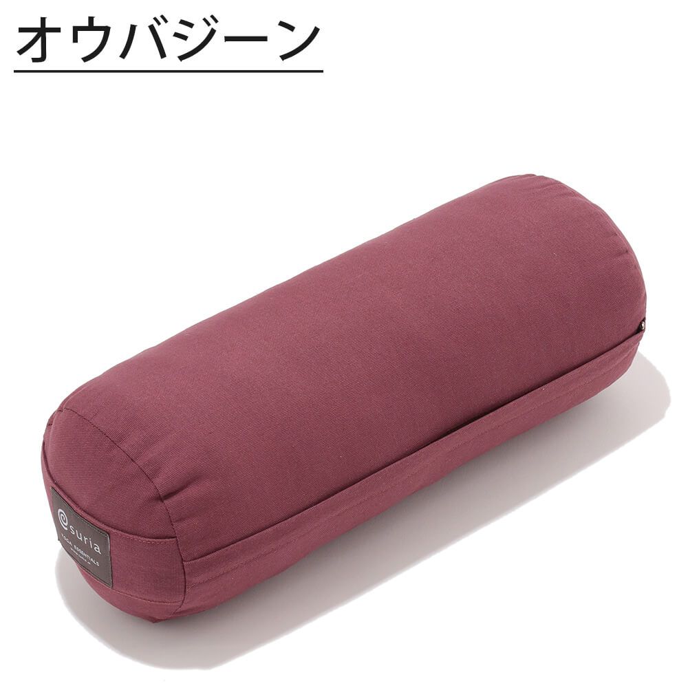 ヨガボルスター プロップス