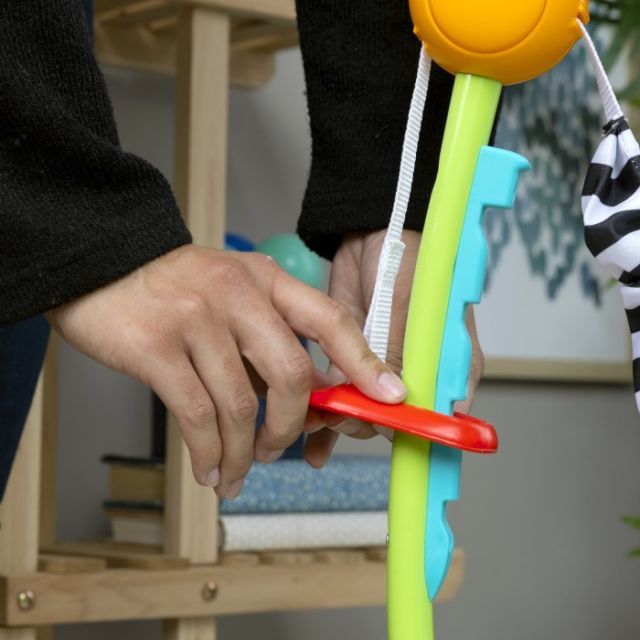 13094 キュリオシティ