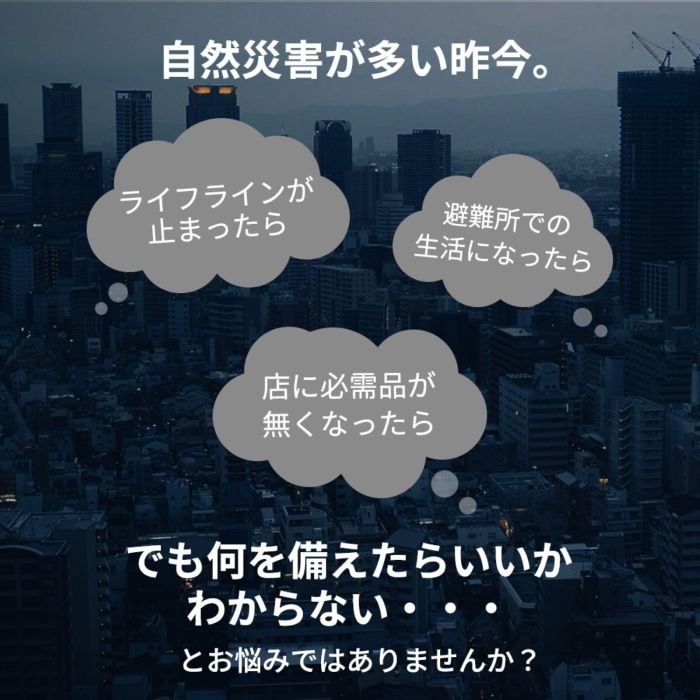 3営業日で発送 岸田産業 緊急防災24点セット 8-1500E