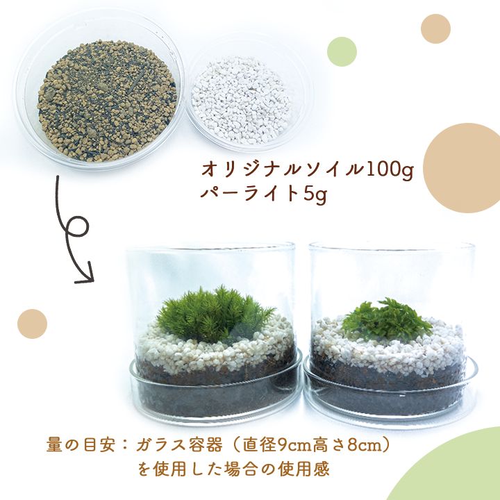 当店在庫してます！ ☆めまさんさま専用☆【源流苔№733
