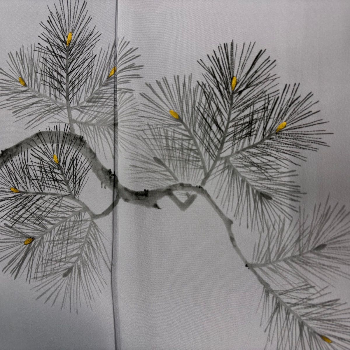 裄丈63cm