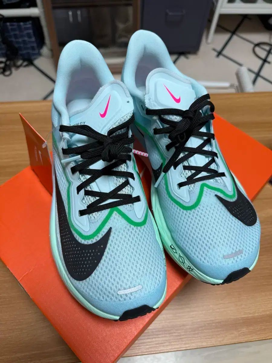 NIKE ナイキ ズーム フライ 6 ミント 260