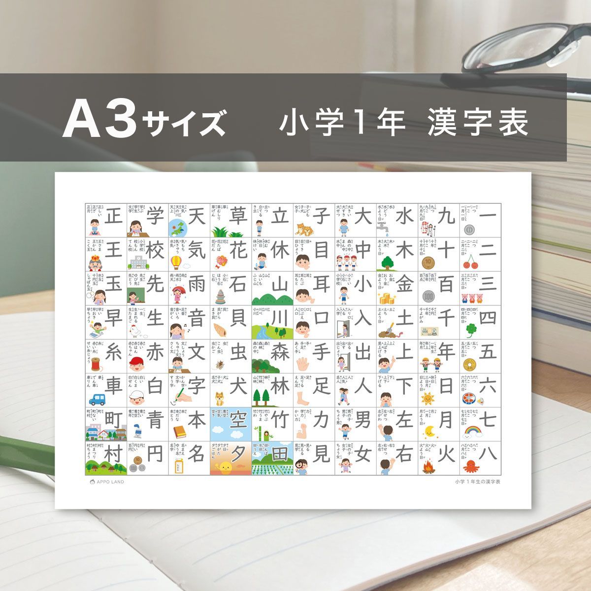 漢方鑑賞用標本　A3サイズ 楽天市場】志賀昆虫普及社【本格昆虫標本12点セット/特々小型