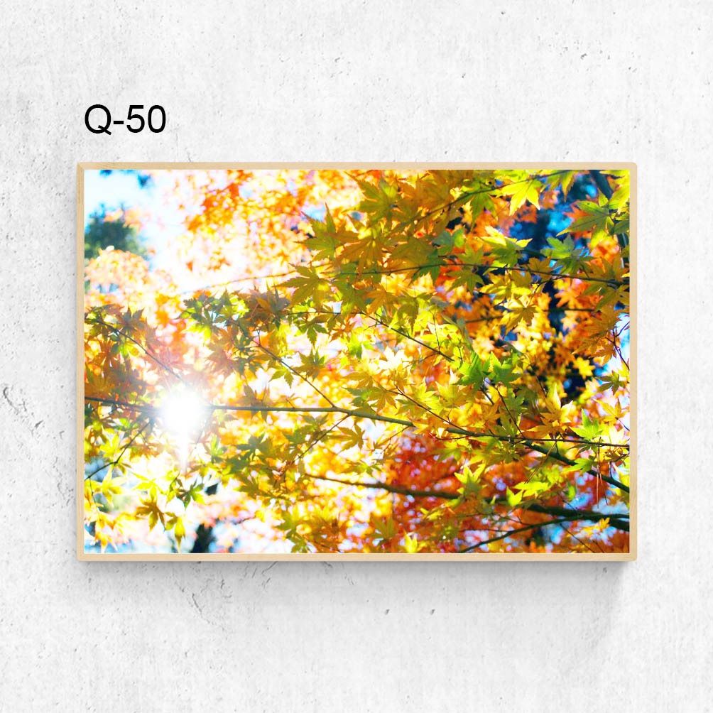 A3サイズ◇送料無料◇インテリアポスター - メルカリ