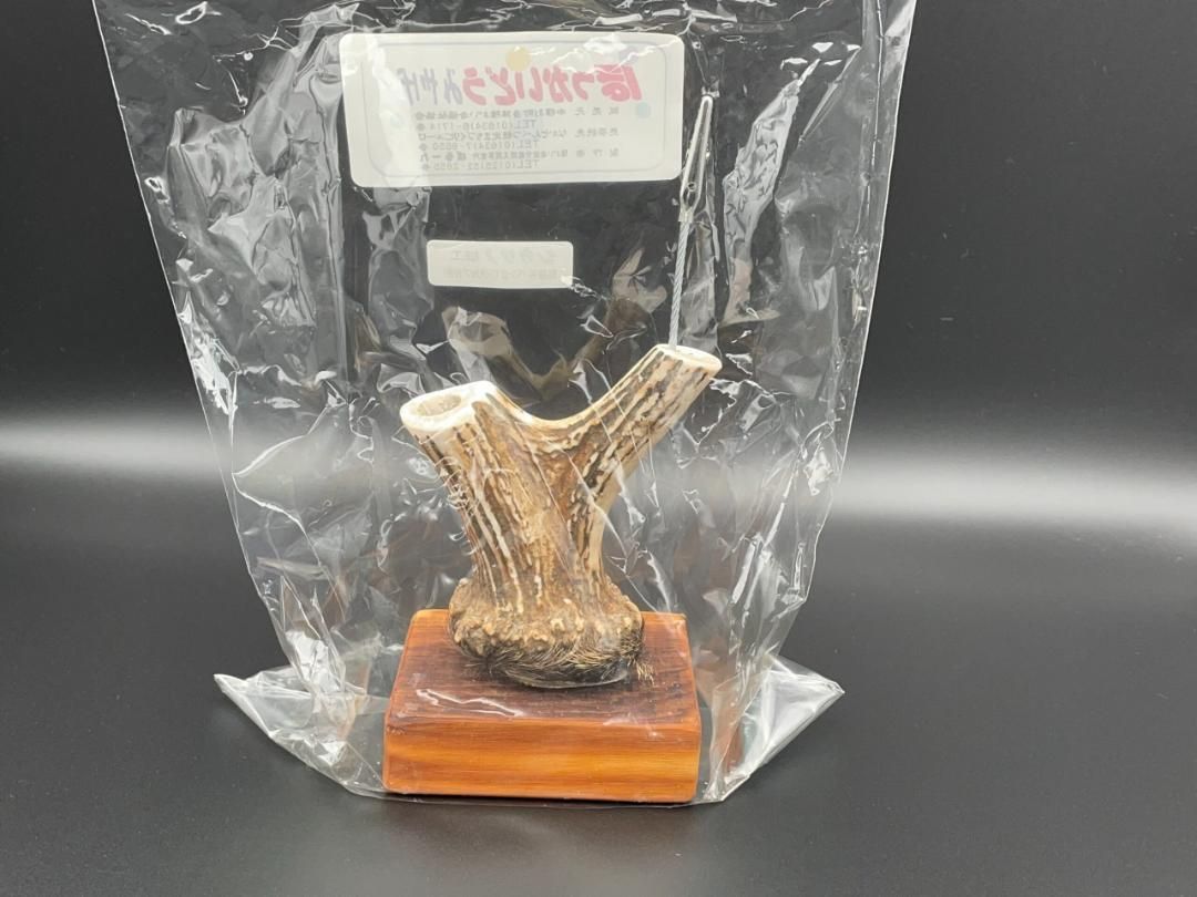 蝦夷鹿 鹿の角 置物 加工品 ペン立て インテリア ☆ペンスタンド角なし