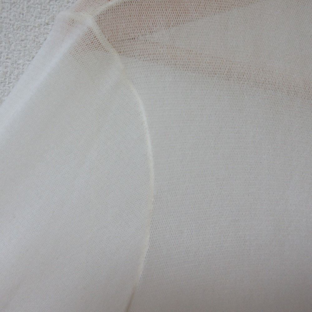 美品 24AW ANAYI アナイ チュールフロッキー プルオーバー 長袖 シアー カットソー 10242815120 38 オフホワイト レディース 古着 中古 ANAYI - 美品 24AW ANAYI アナイ チュールフロッキー プル