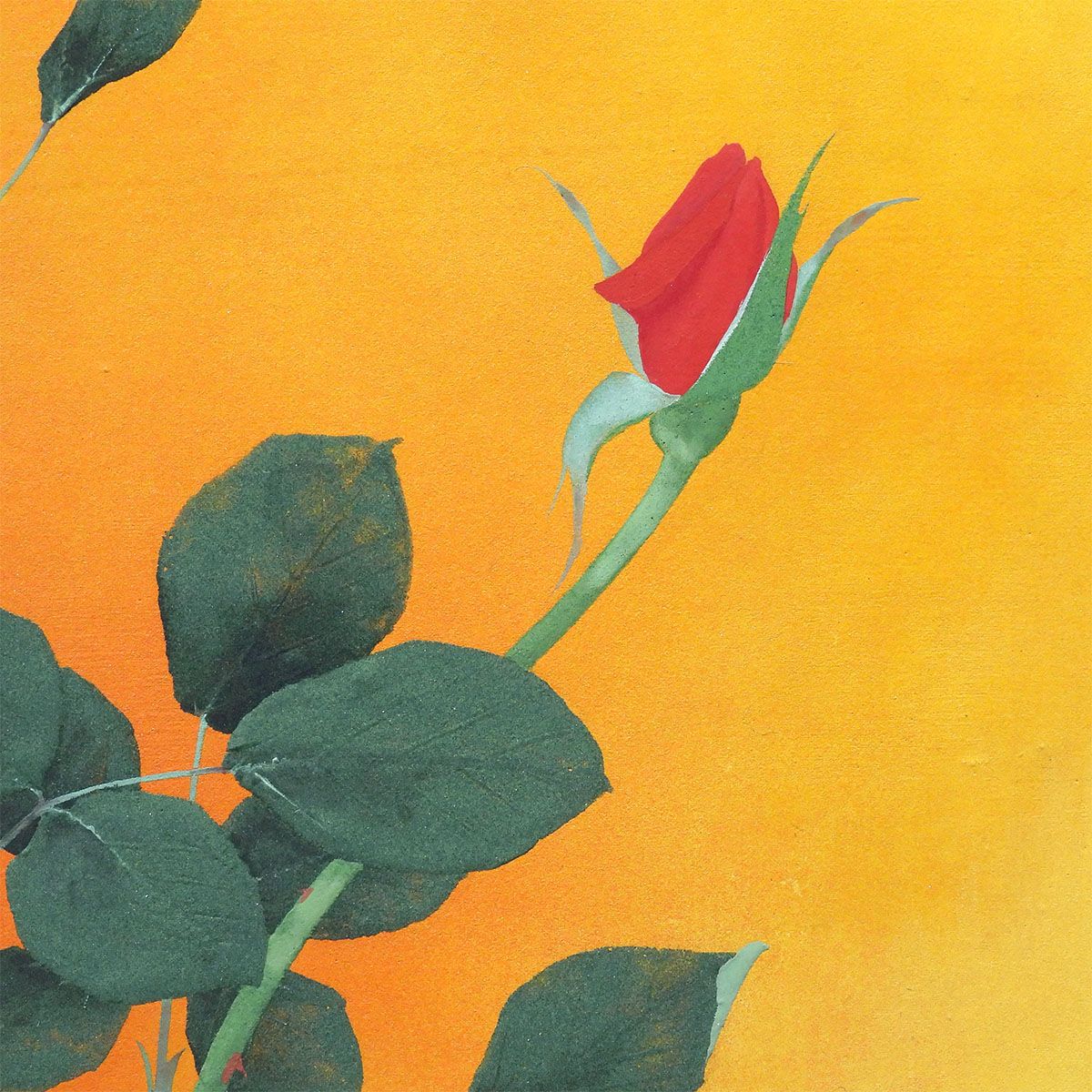 牧進 紅薔薇 紙本彩色10号 静物画 共シール 解説あり 花