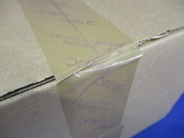 LED非常用照明 5000K 昼白色 リモコン別売 OR036346P1 NEXPOTALLINN_EU