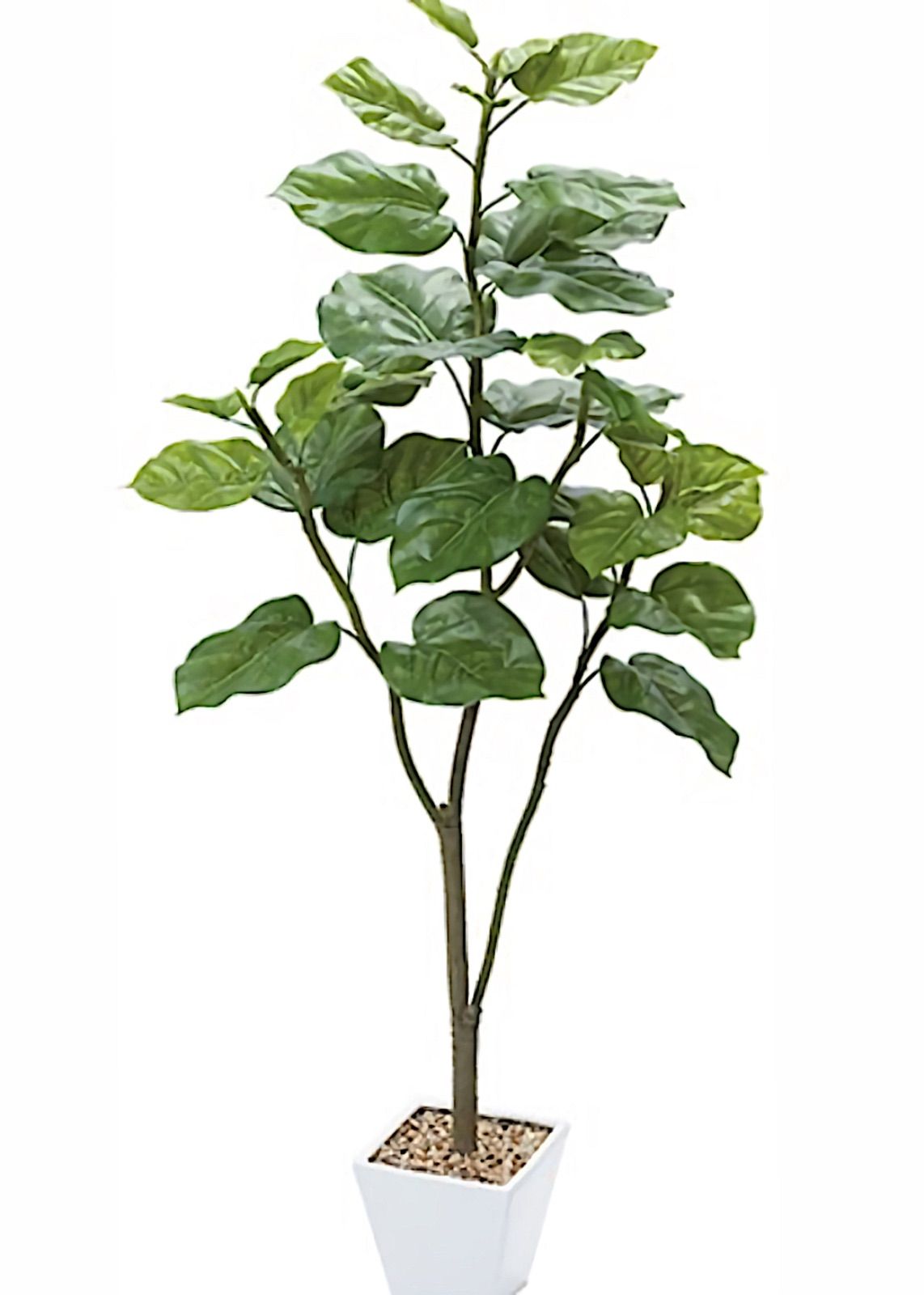 光触媒 人工観葉植物 ウォールグリーン フェイク ウンベラータ120