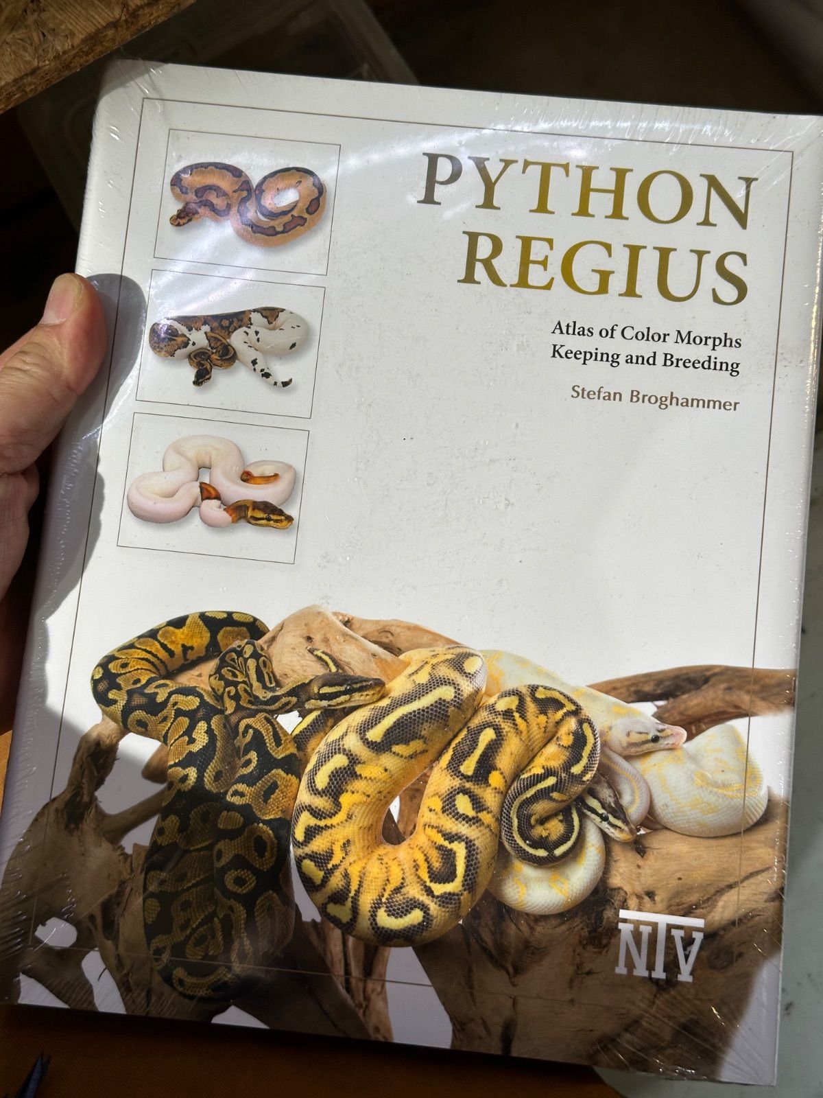 ボールパイソンの書籍 PYTHON REGIUS