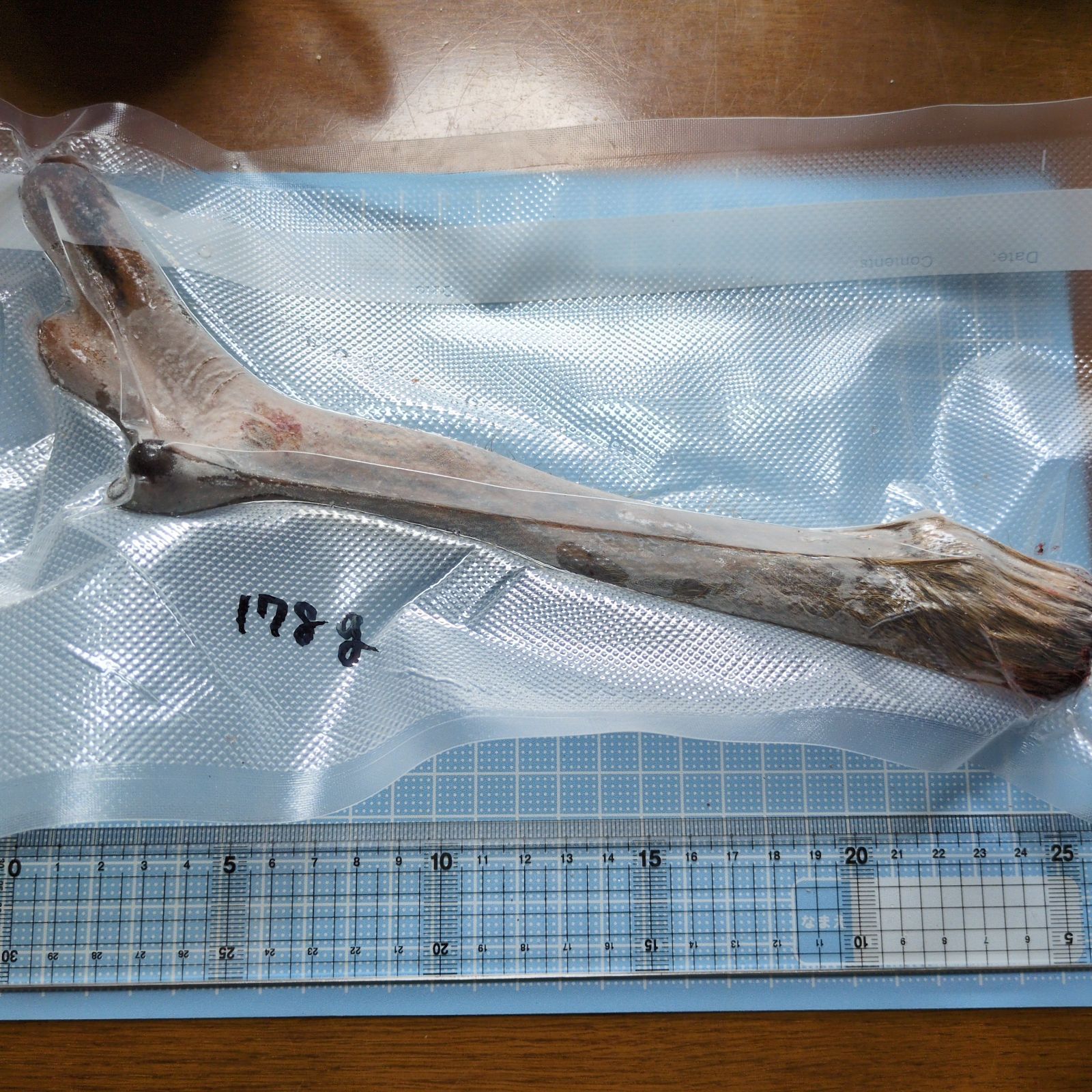 今年も大人気！ 002 エゾシカ 袋角 中位まとめて約894グラム 鹿