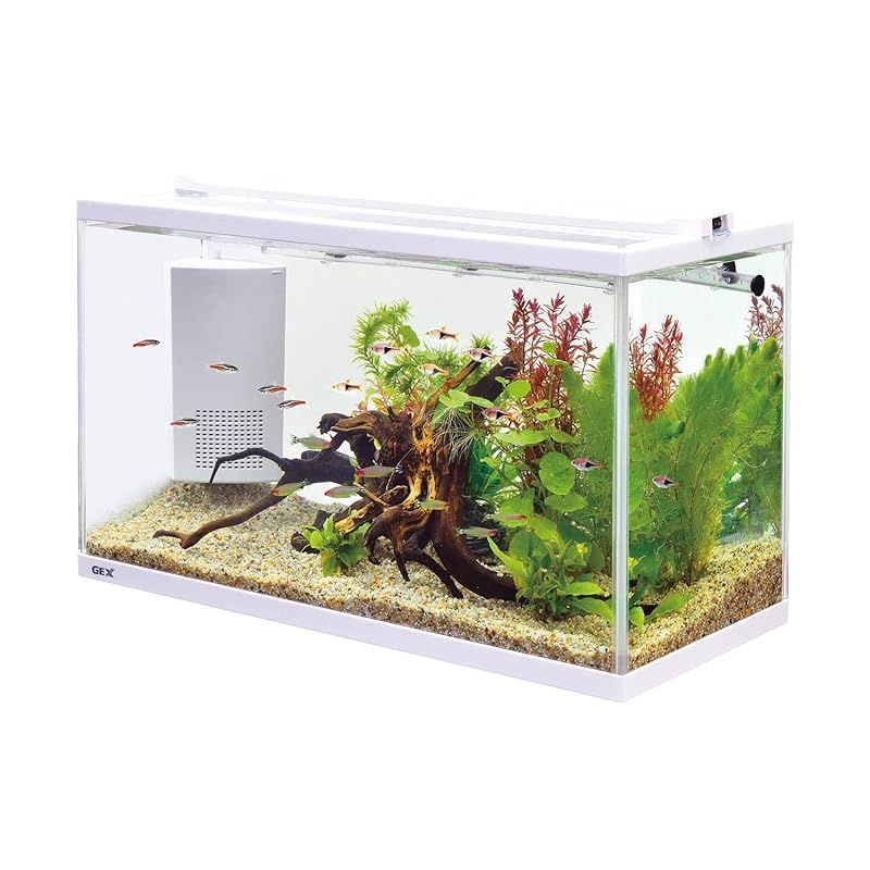 ジェックス GEX AQUARIUM サイレントフィット アルファ 600 静音 省電力フィルター付 サカナ用