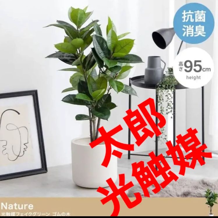 光触媒 人工観葉植物 ウォールグリーン フェイクグリーン カシワバゴム