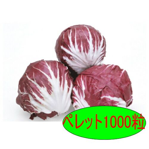 【入荷次第出荷】カネコ種苗　レッドロック　ペレット1000粒