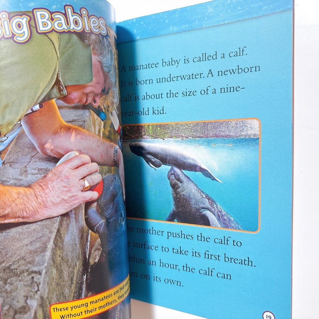 National Geographic Kids Level2 41冊 英語絵本 音源付き ナショジオ