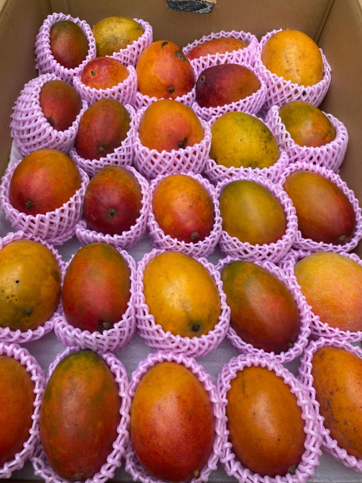 理解ある方のみ