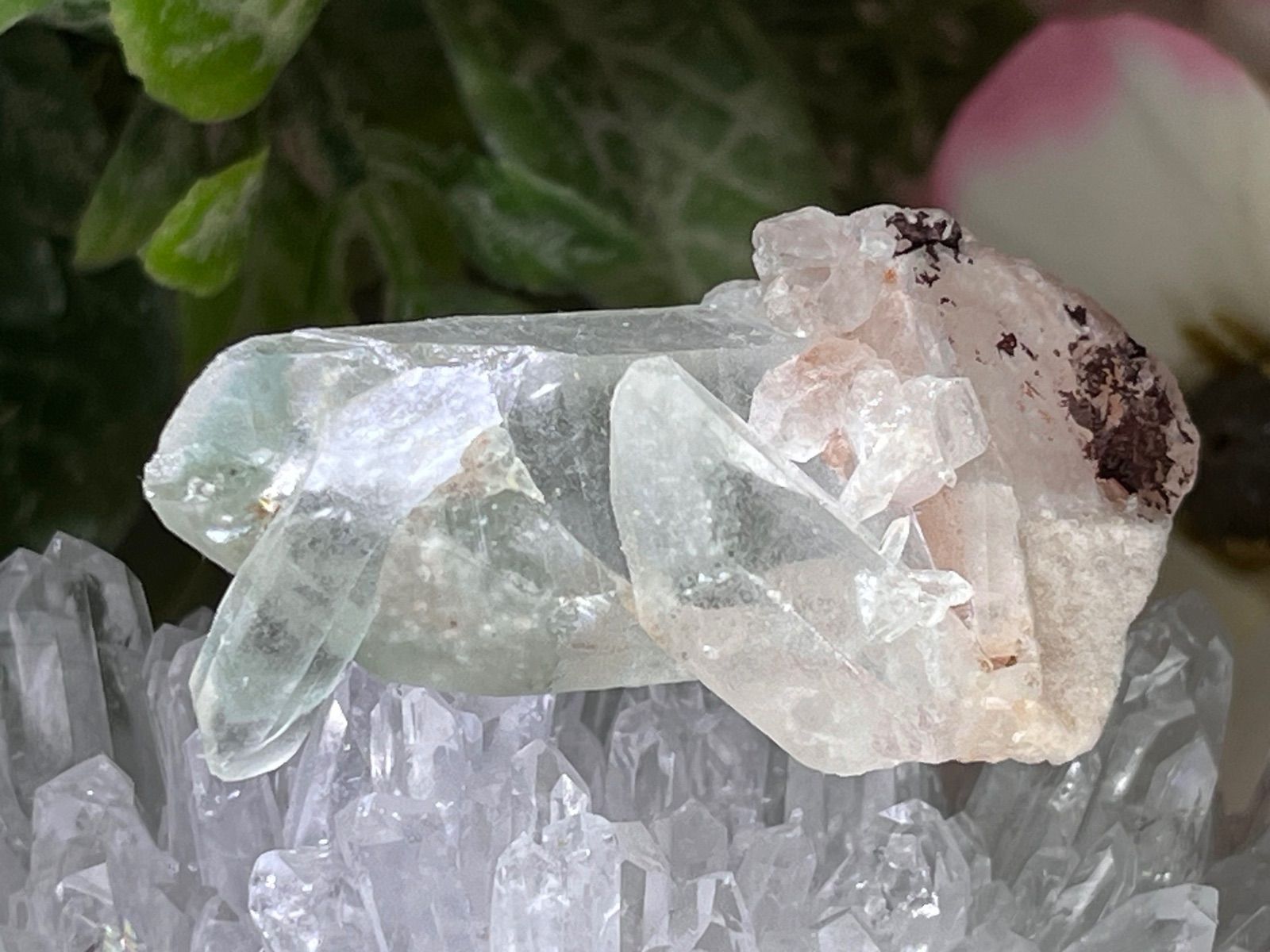 薔薇と棘＊虹入り マニカラン産ピンククォーツ&グリーンファントム DTクラスター 薔薇と棘＊虹入り マニカラン産ピンククォーツ&グリーンファントム DT