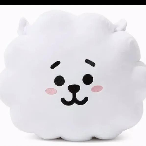 BTS BT21 ベーシック ビッグ フェイスクッション RJ bt21 - メルカリShops