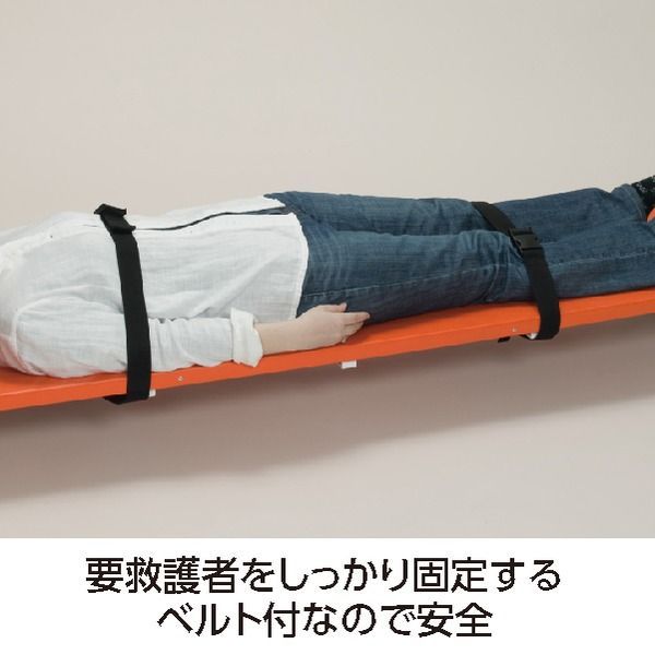 テラモト
