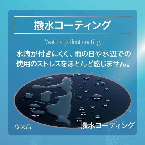 VARIABLE