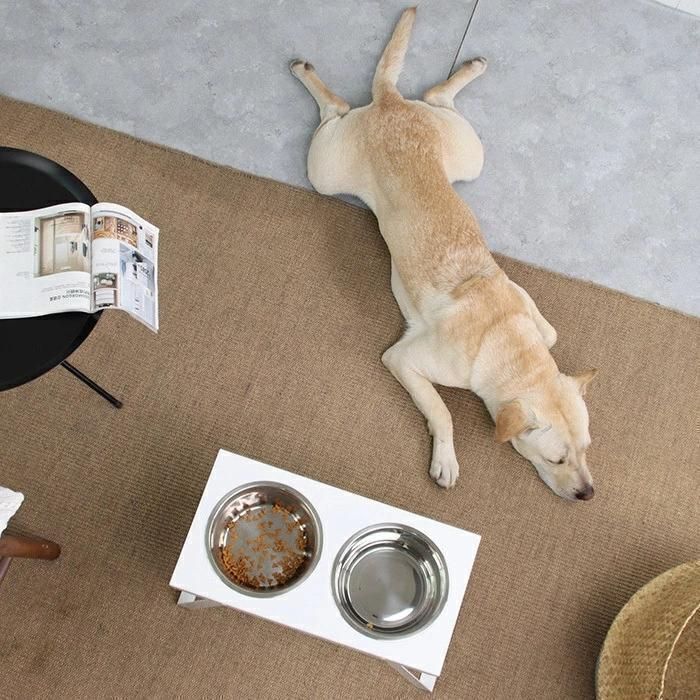 エサ入れ 食事用具