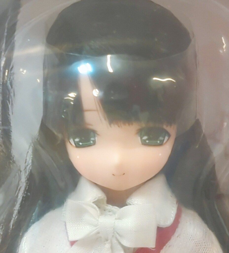 アゾン えっくす☆きゅーとふぁみりー みあの日曜日 DS開催記念ver