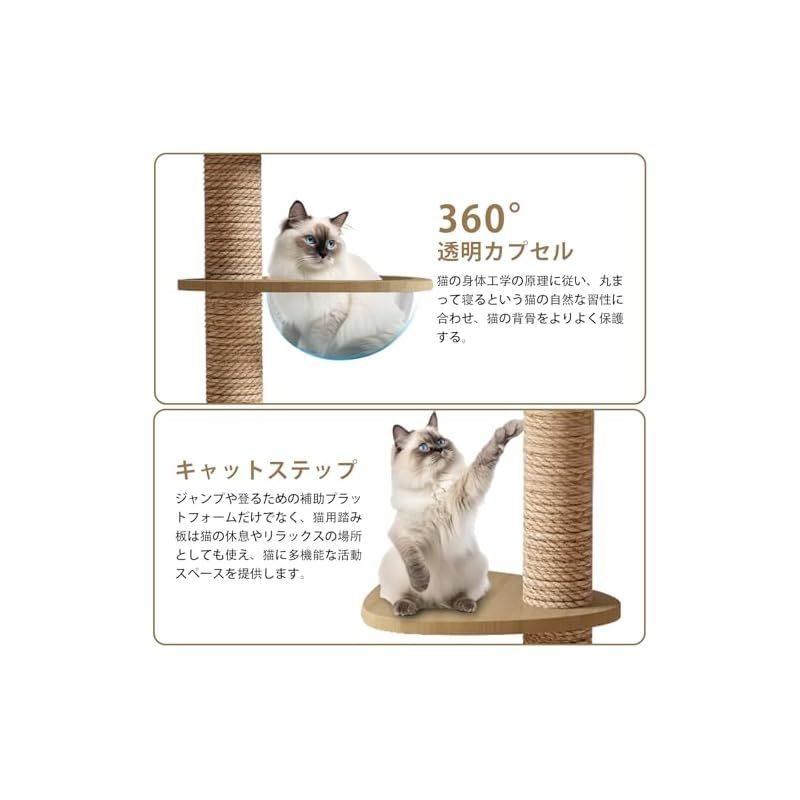 人気 おしゃれ