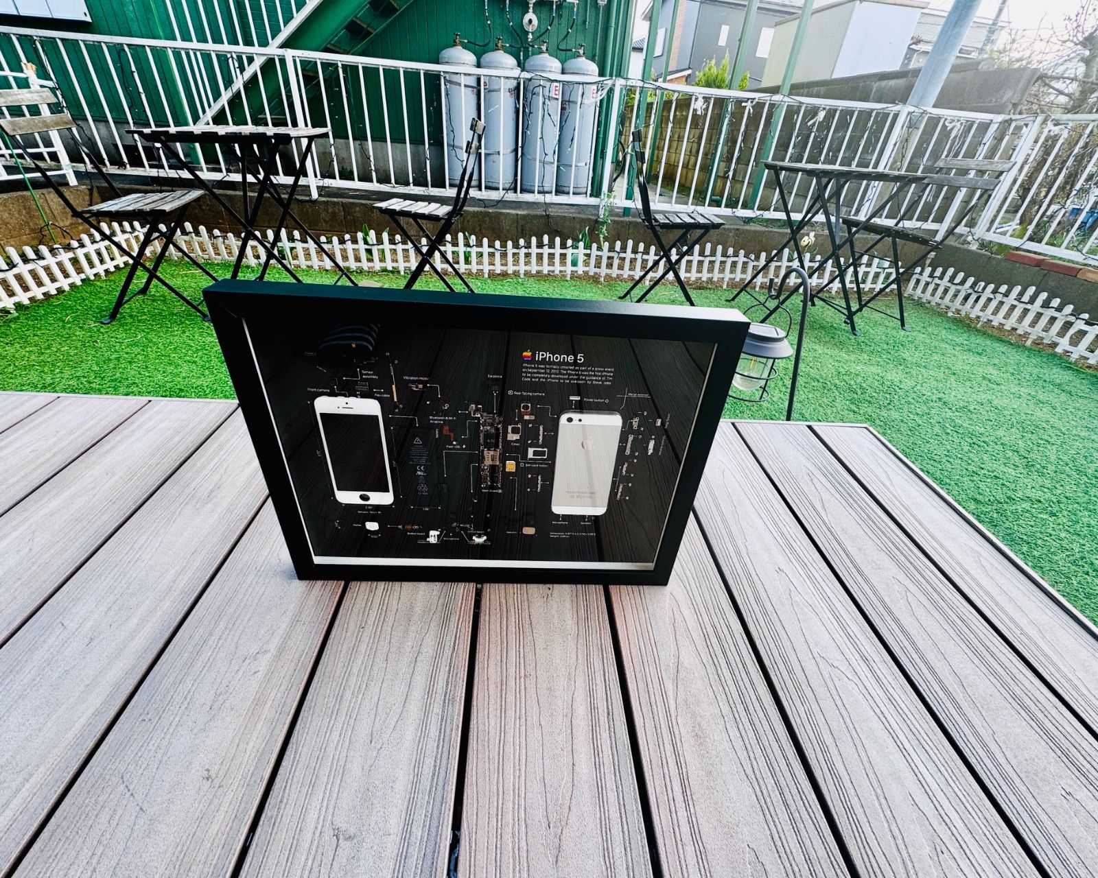 iPhone 5 White 標本アート ボックスフレーム - メルカリ