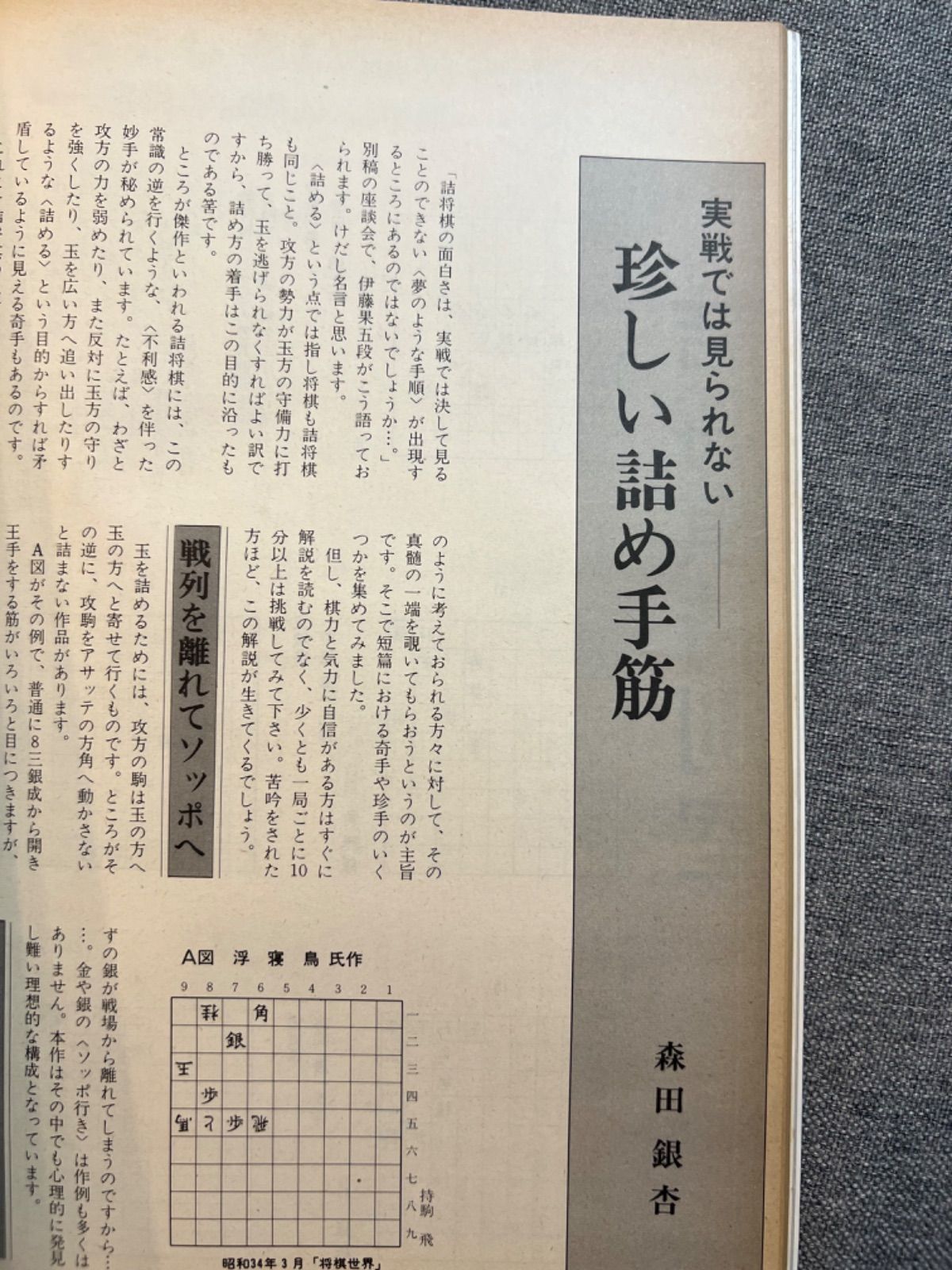 枻・将棋讃歌』第47号「特集・詰将棋乃世界」 - メルカリ