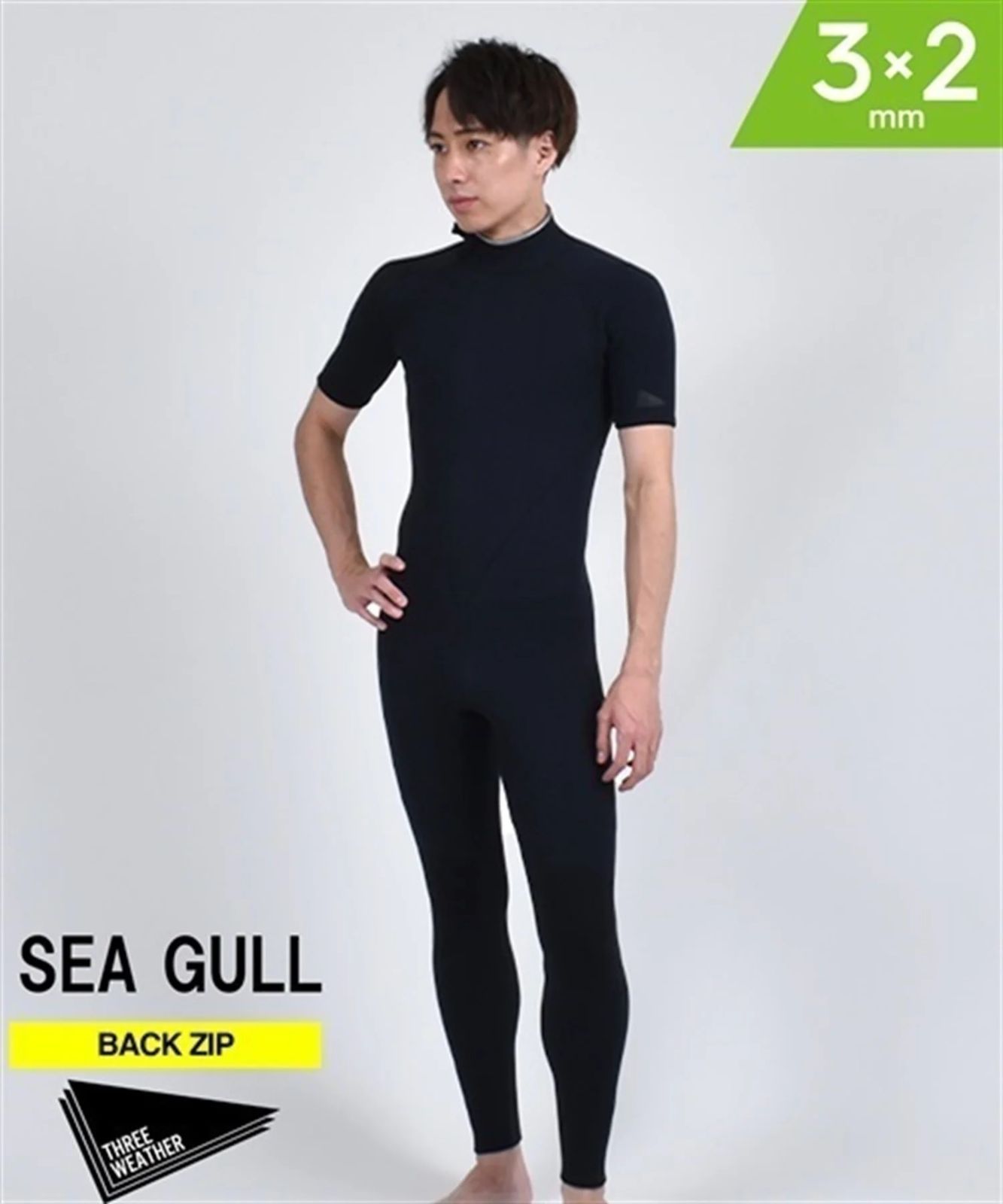 SEAGUL