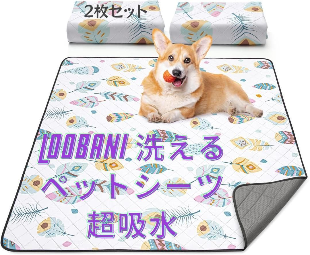 希少 OGASAKAオガサカ AZ-15 BLACK EDITION 165cm