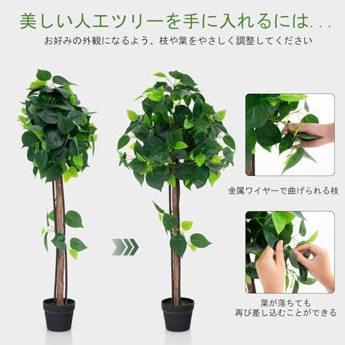 水やり不要 空気清浄