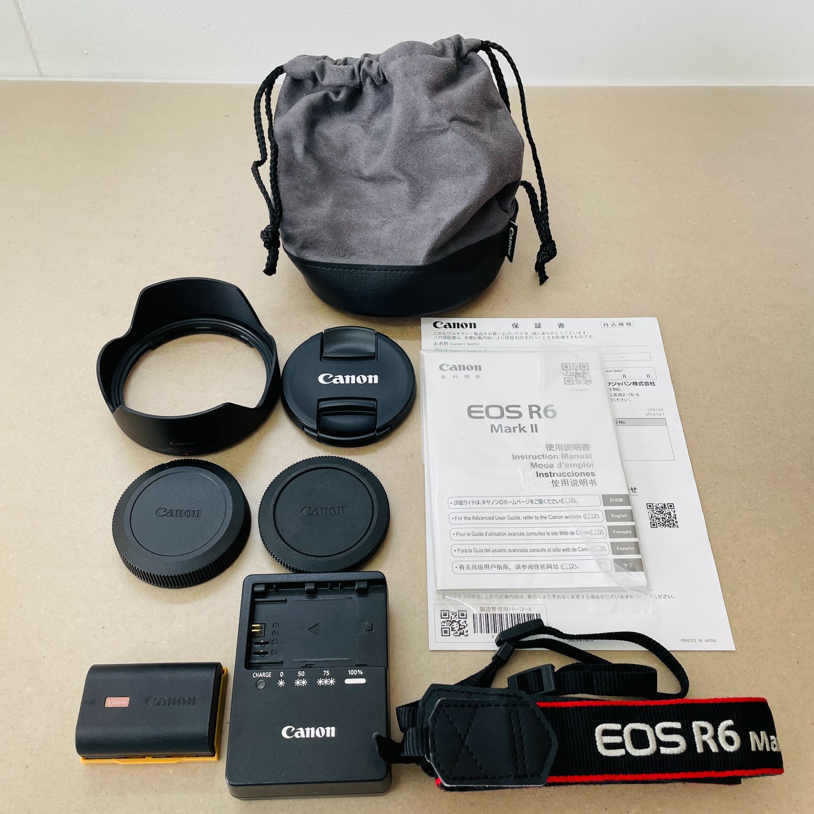 Canon EOS R 6 Mark II RF 24 105 mm F 4 L IS USM レンズキット シャッター回数5 以下 C 2805 100