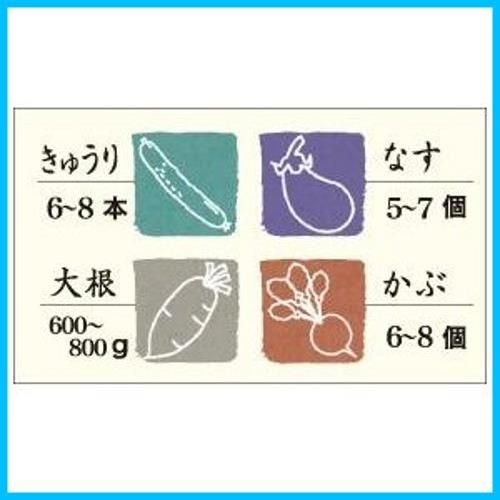特価商品丸型 グリーン 即席漬物容器 3L ハイペット レシピ付き リス