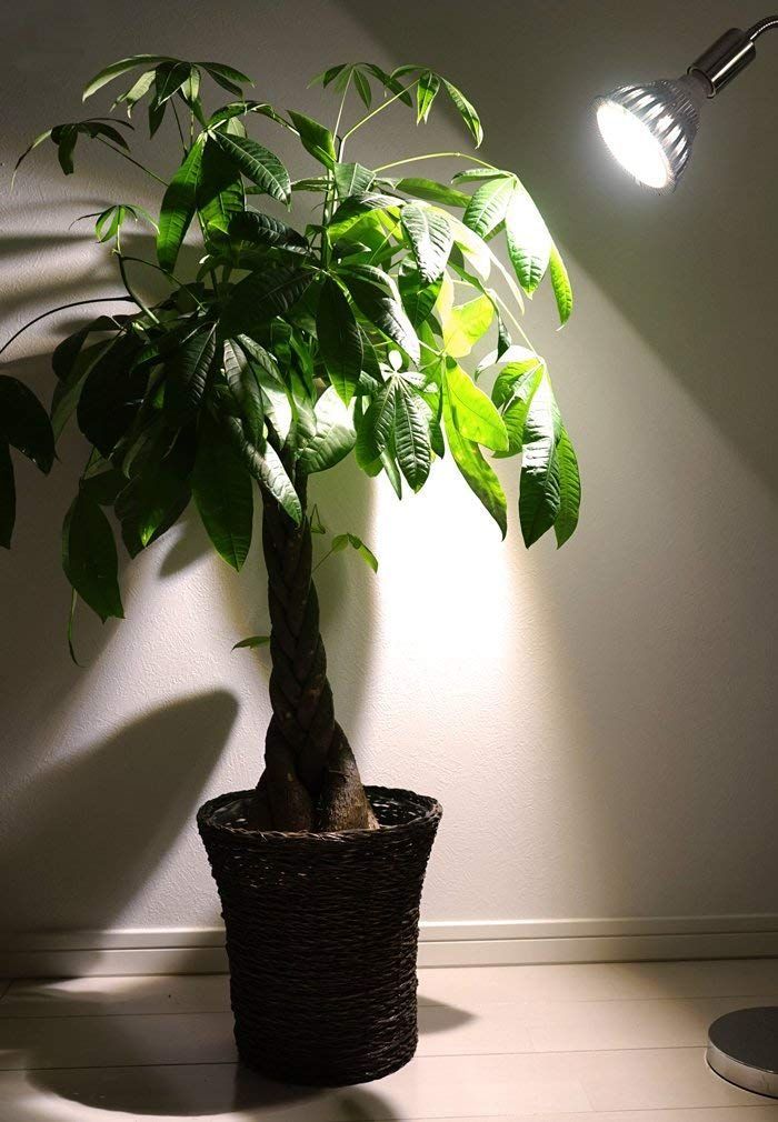 人気商品】【植物育成LED SUN-20W-W】 - メルカリ