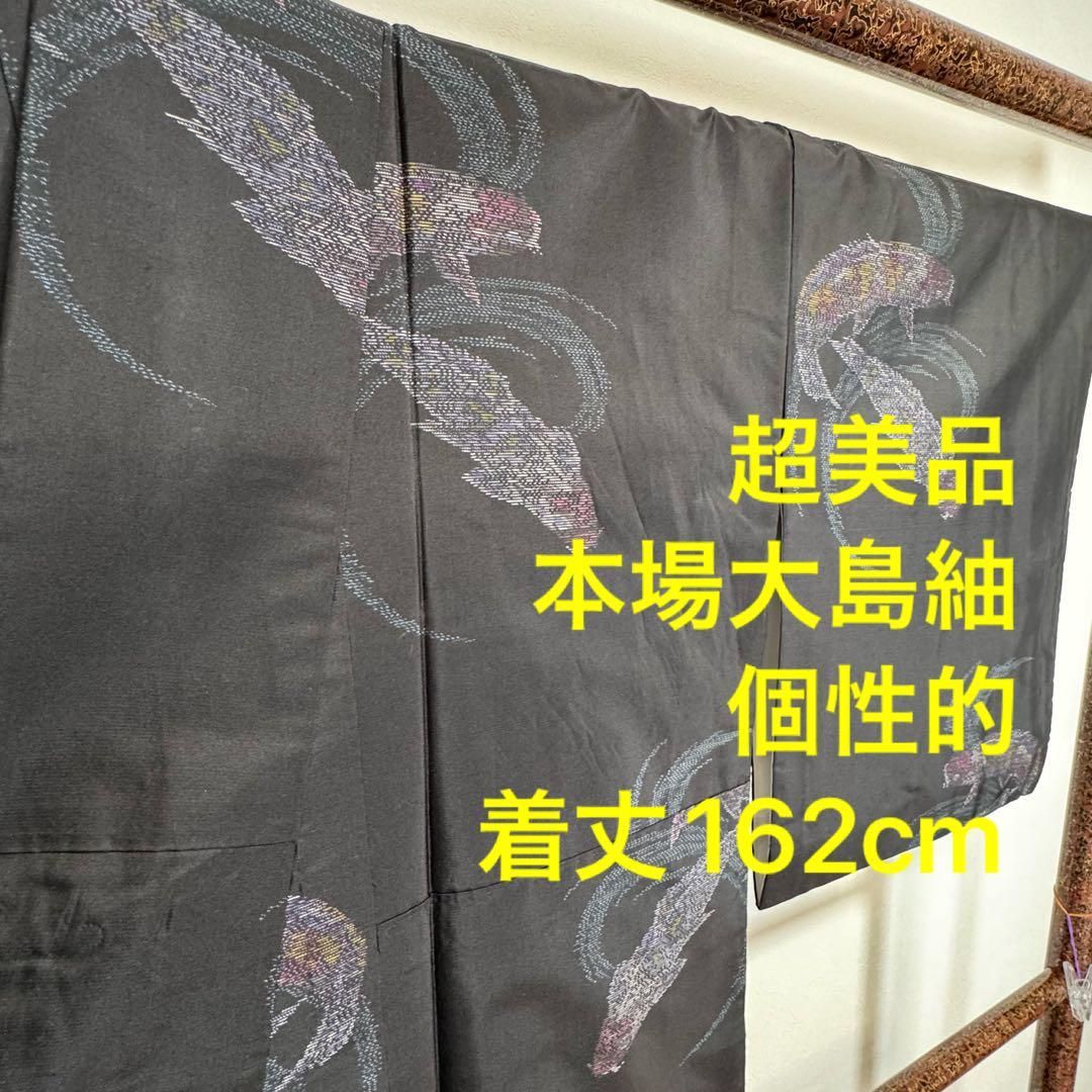 秋冬 超 紬 着物 本場大島紬 正絹 個性的 袷 162 飛び柄 鯉 黒