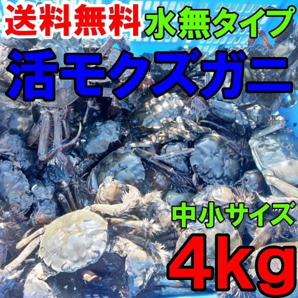 活モクズガニ「【海水なしタイプ】 小中サイズ４kg」(目安 40-80杯) ツガニ つがに 宮城県松島湾産 配送地域四国中国九州沖縄の方におススメ 他に大サイズも出品中 もくずがに