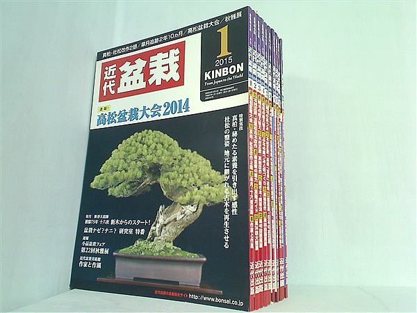 月刊「近代盆栽」2015年5月号 上等 - 盆栽