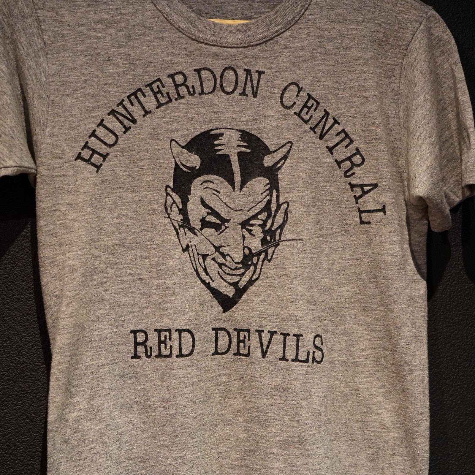 1970's HUNTERDON CENTRAL RED DEVILS ヴィンテージTシャツ グレー