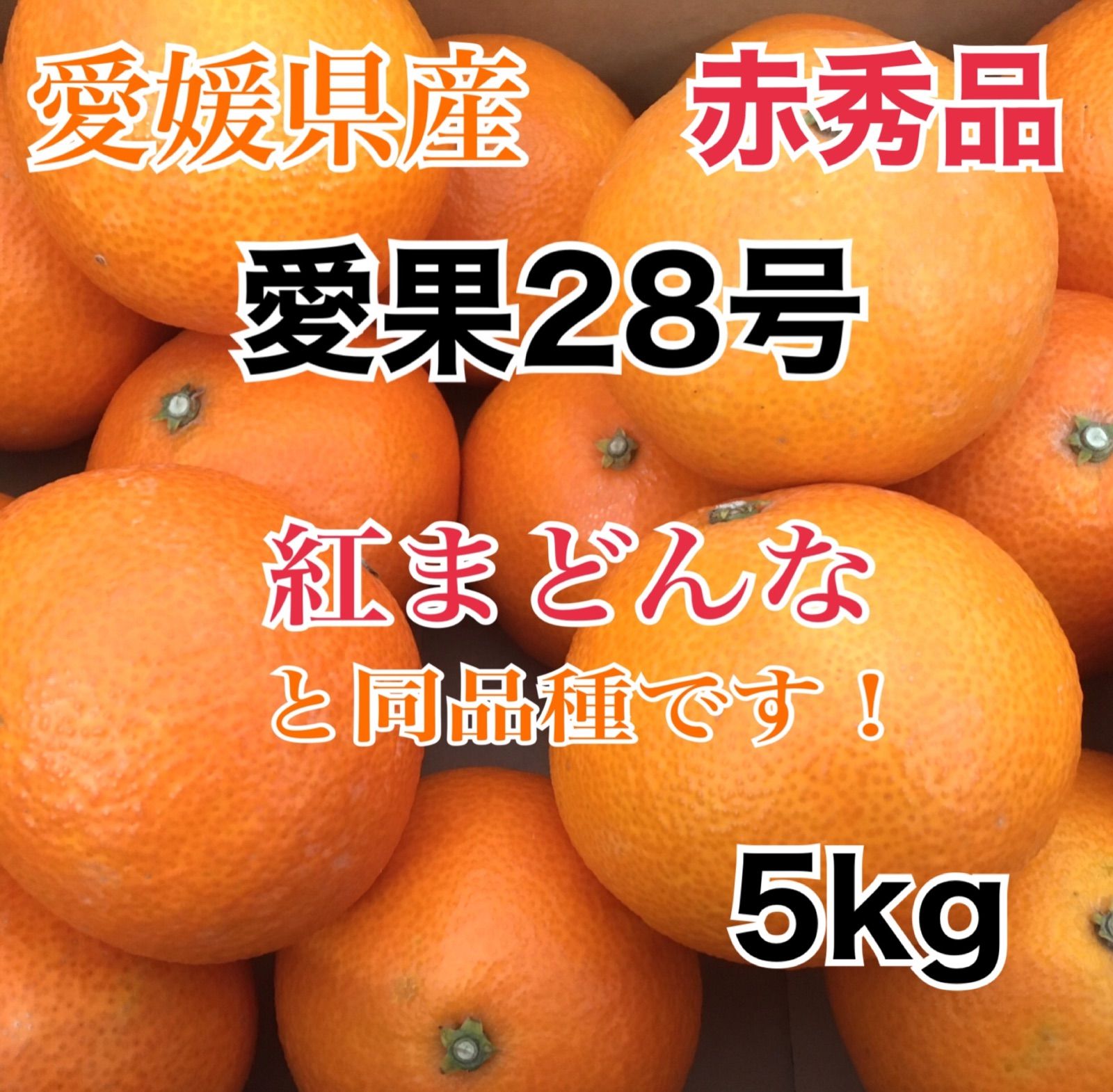 愛果２８号 紅まどんな５キロ 愛媛県産 みかん - みかん・柑橘類