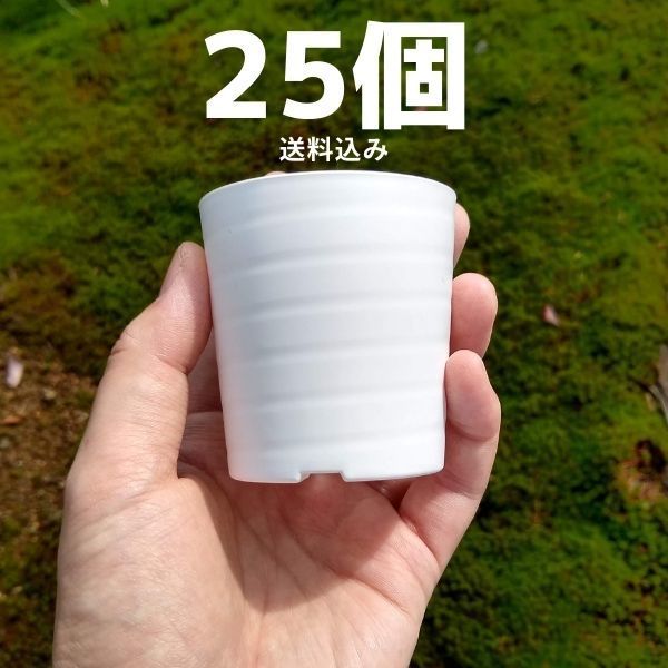 セラアート 植木鉢 2.5号 × 25個 ミニプラスチック鉢 おしゃれ 小さい マット スリット 多肉 塊根植物 ブラック ホワイト