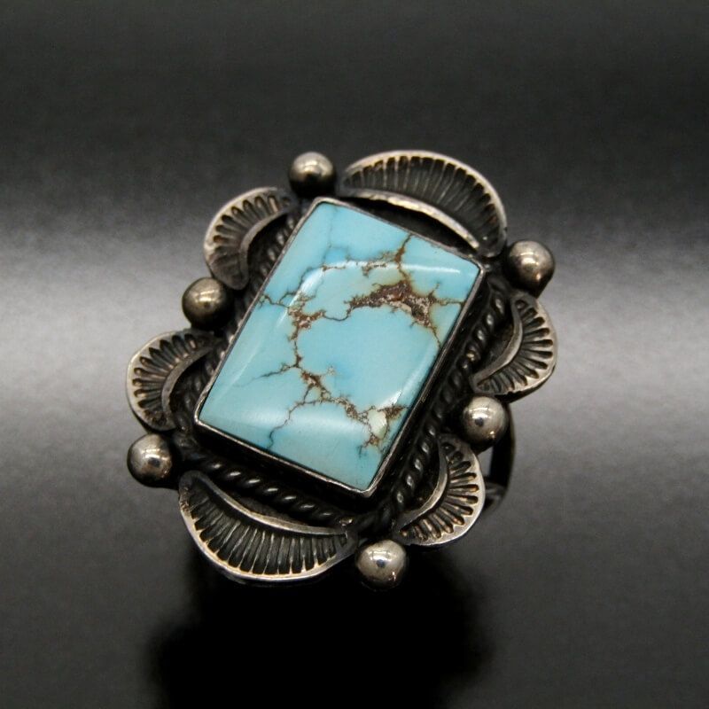 ゲイリーリーブス ゲーリーリーブス Gary Reeves｜ナバホ族 | American