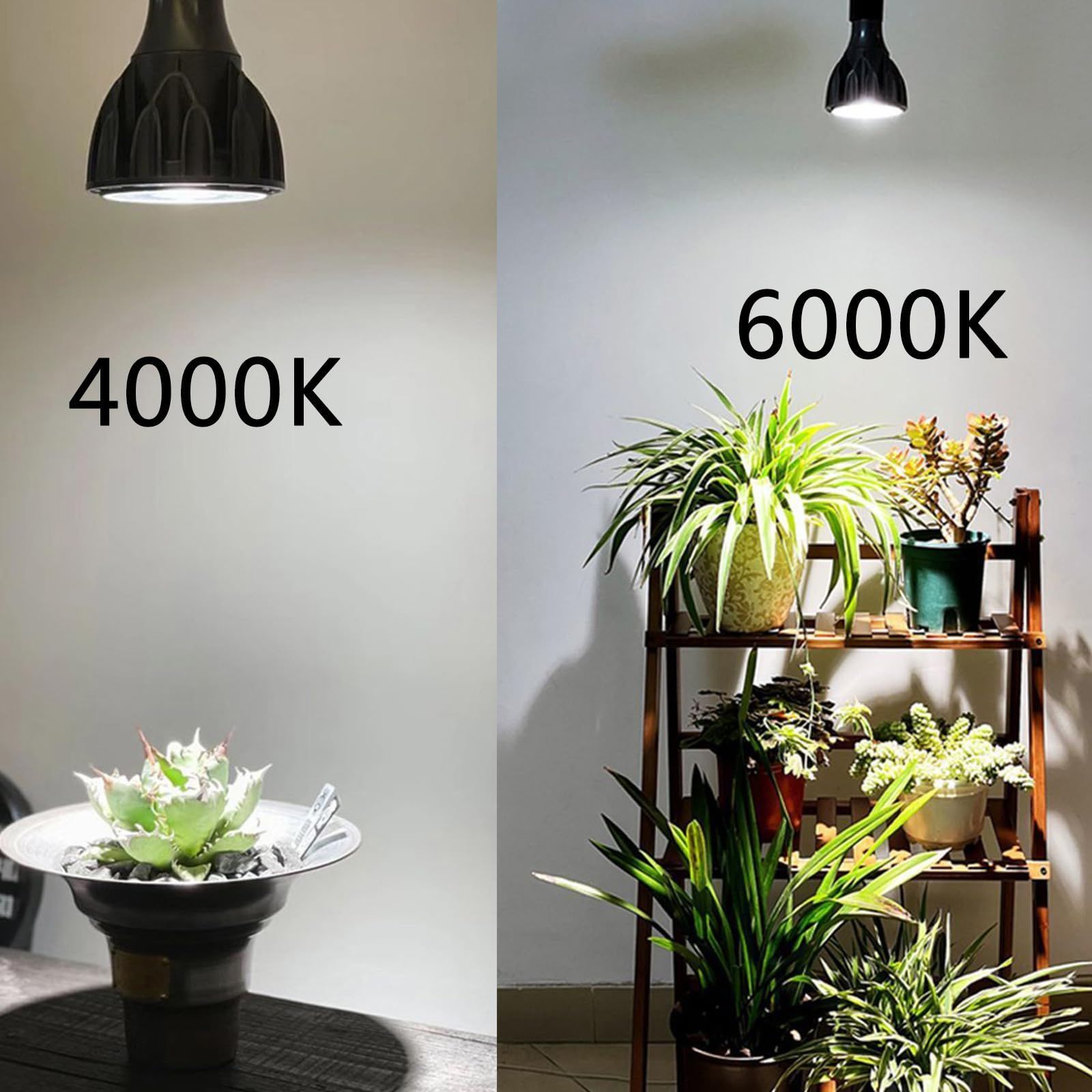 2024大人気植物育成GrowLight 6000K COBLED 2個 ライトクリップ2個 その他