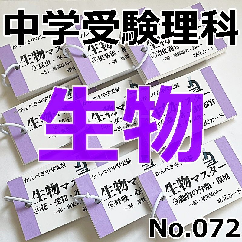 ☆【100】中学受験 算数・国語・理科・社会 暗記カードセット
