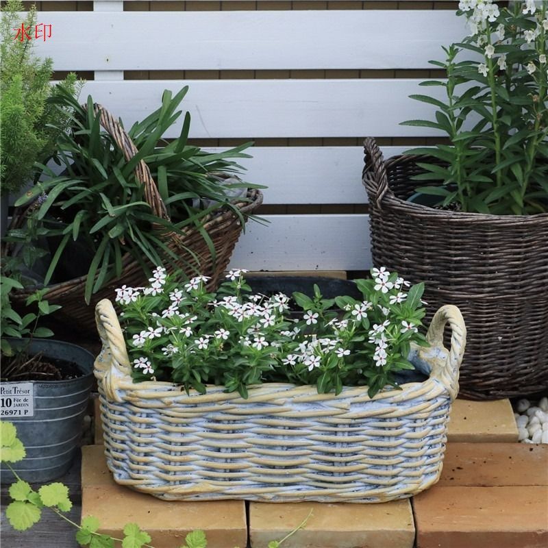編かご 鉢植え