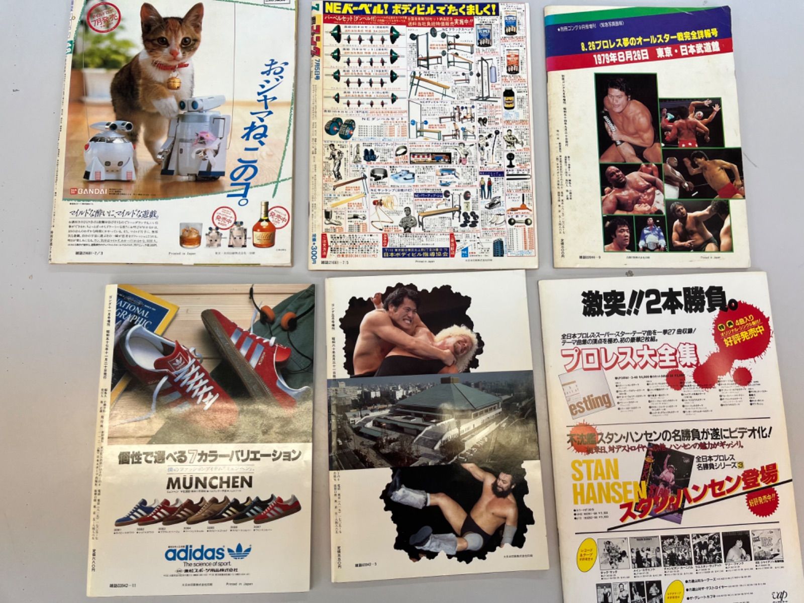 プロレス 雑誌 まとめ売り 週刊ゴング 週刊プロレス ゴング増刊